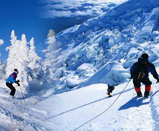 Manali Packages