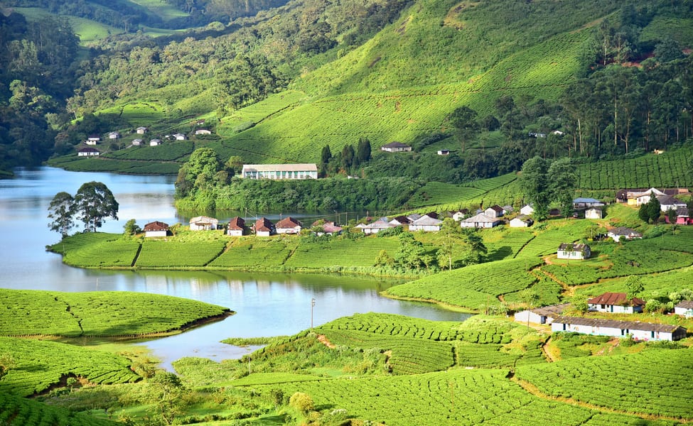 Best Tour Packages